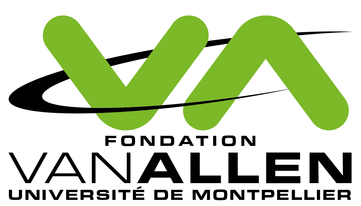Logo FVA black