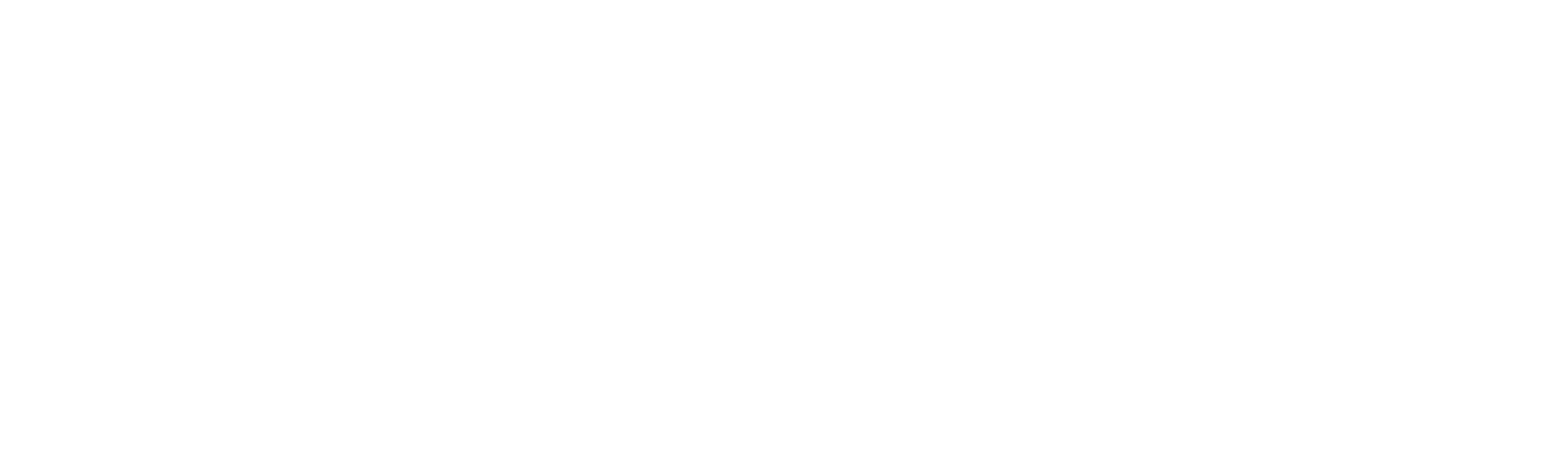 Logo Connektica