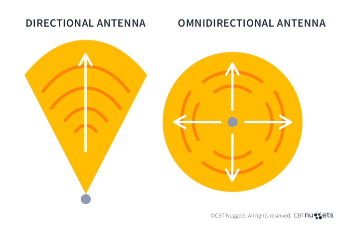Antenna Types Omni vs Directional Diagram Modifié